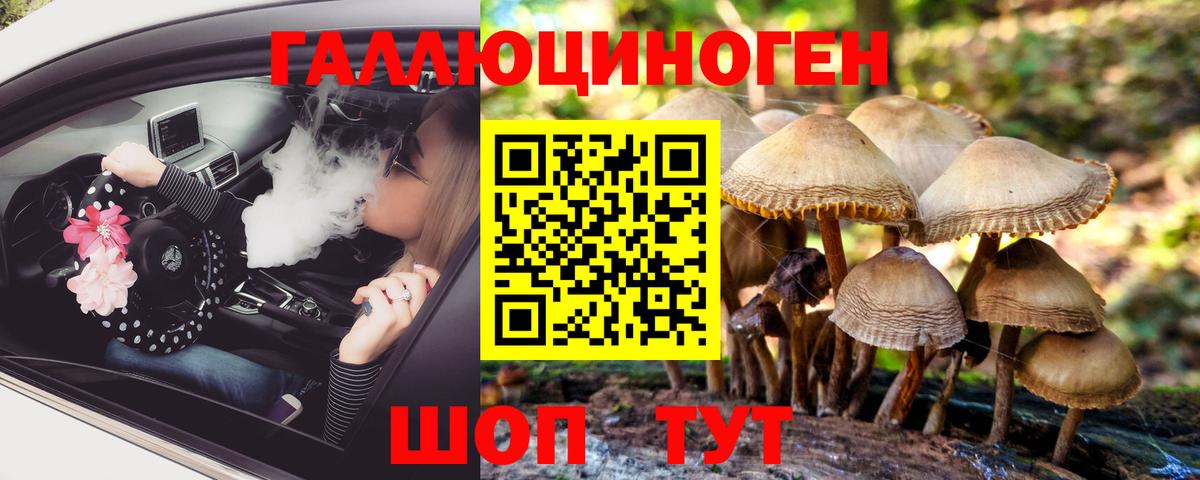 Галлюциногенные грибы прущие грибы Ртищево