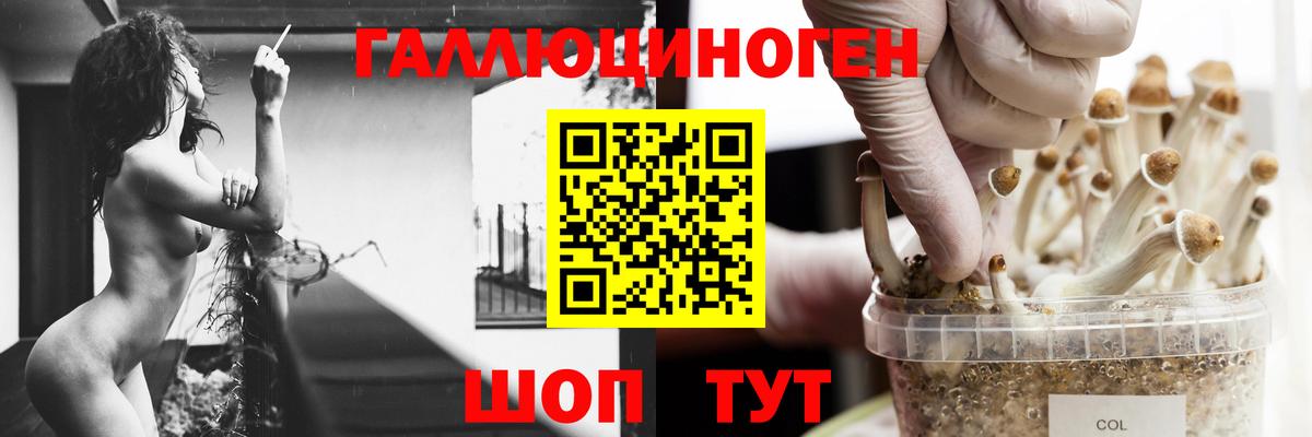 Ртищево  Псилоцибиновые грибы Magic Shrooms  Вход с VPN 